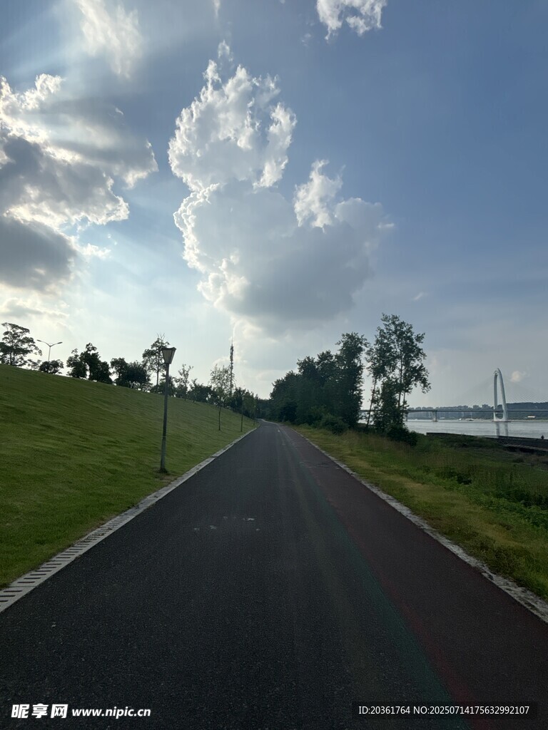 宽阔公路旁的绿意风景