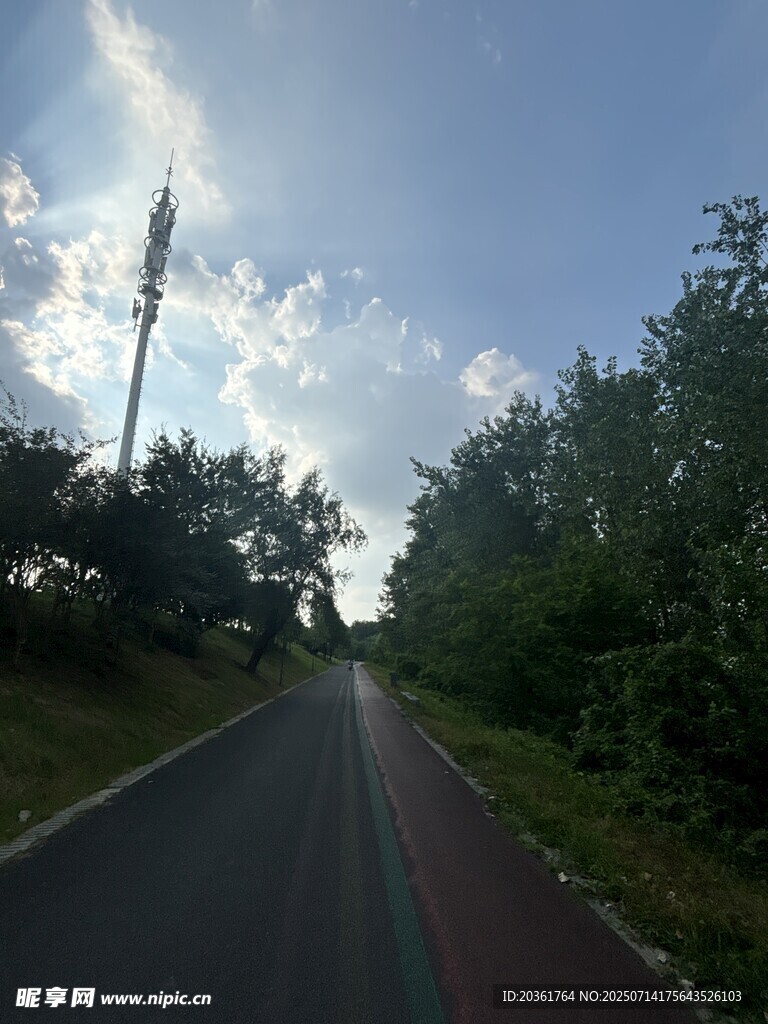 林间骑行道