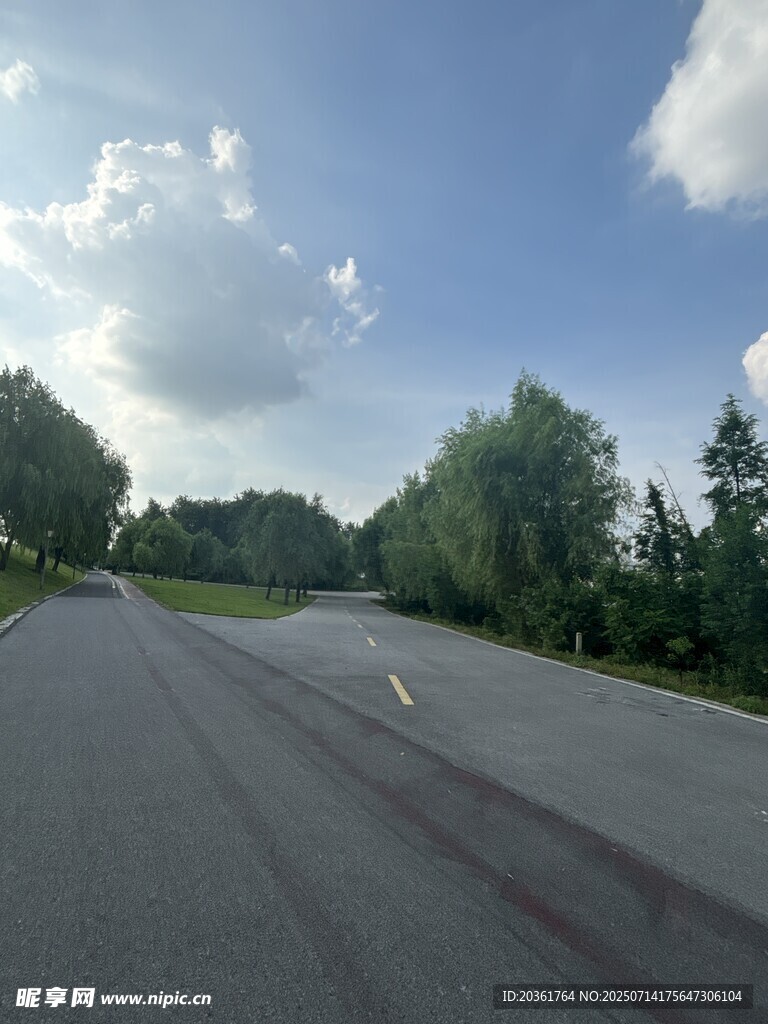 宽阔公路旁绿树蓝天白云