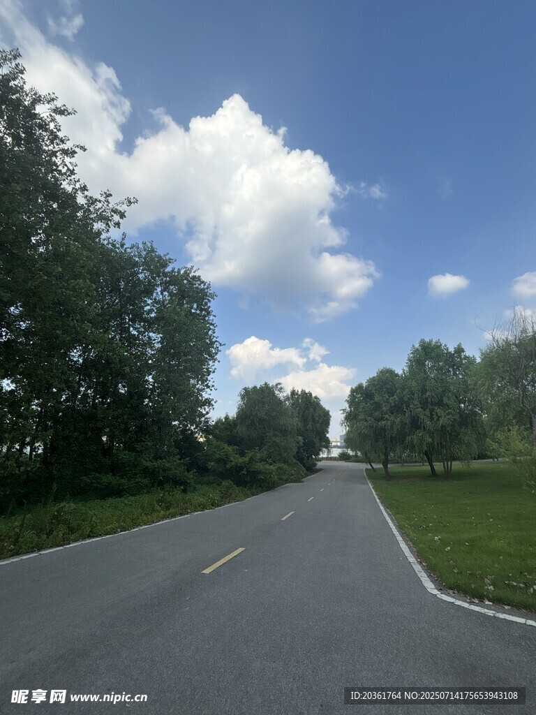 宽阔公路旁绿树蓝天白云