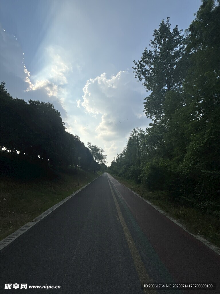 林间公路
