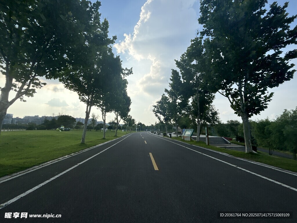 宽阔林荫公路风景