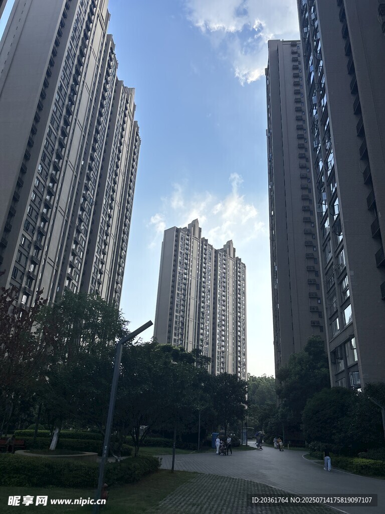 城市高楼间的宁静小道