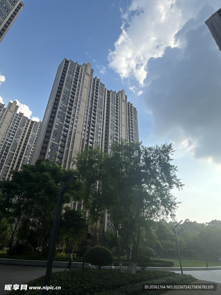 城市高楼与绿树相映成景