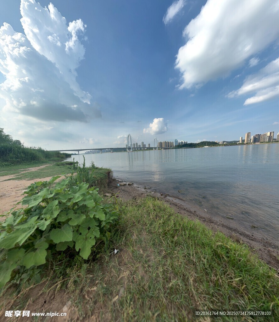湖畔绿植与蓝天白云美景