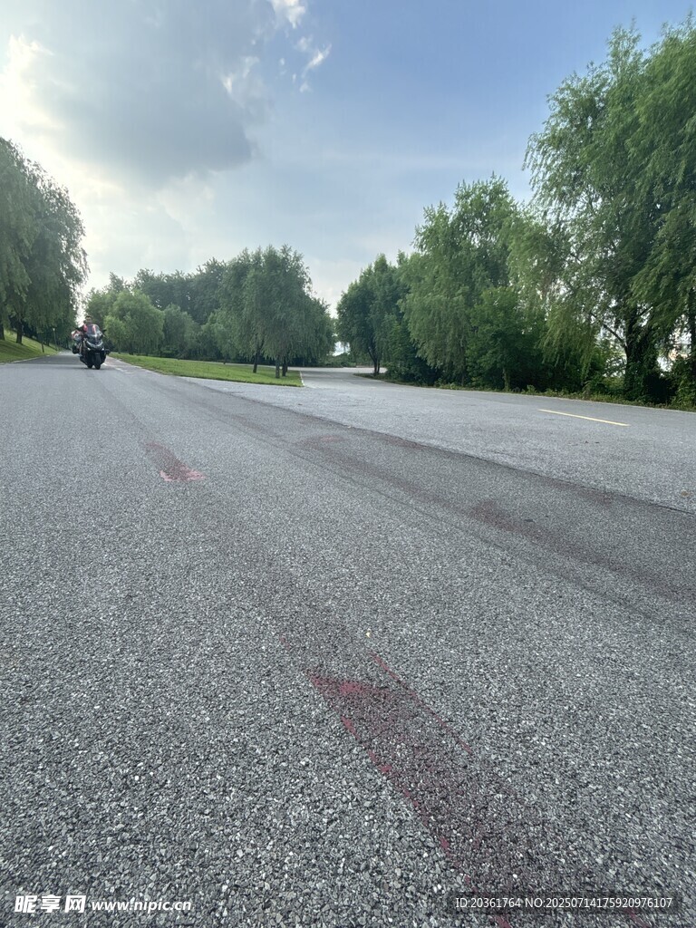 空旷柏油道路与葱郁树木