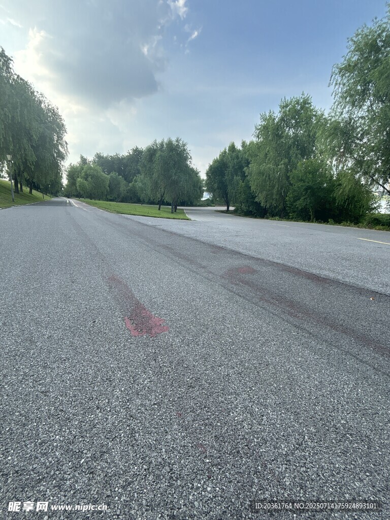 空旷柏油道路与周边绿树