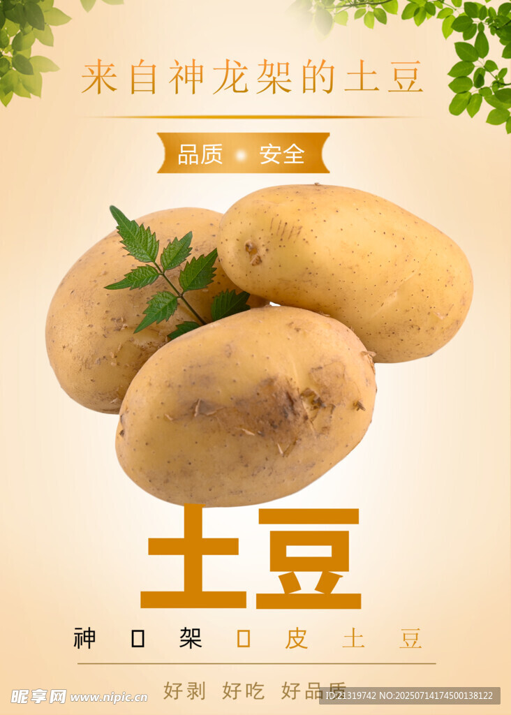 土豆海报