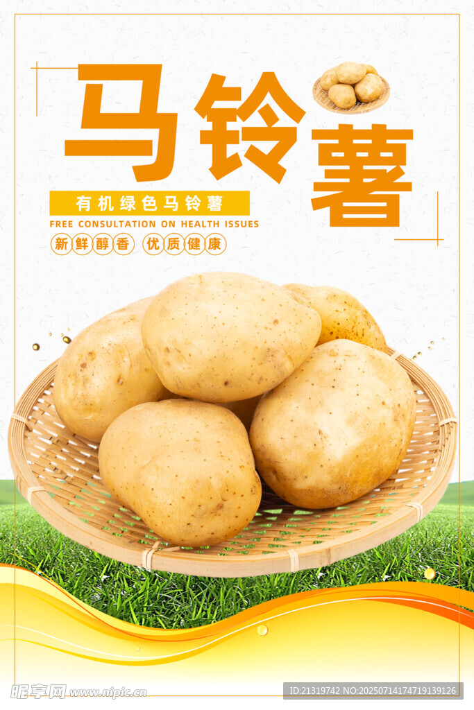 马铃薯