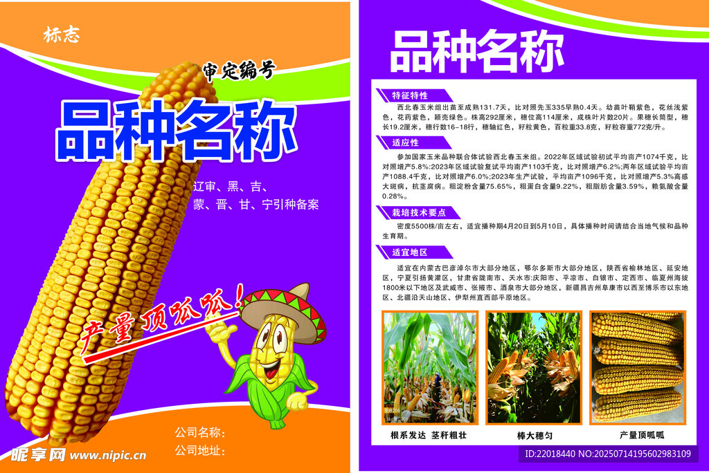 玉米宣传单页