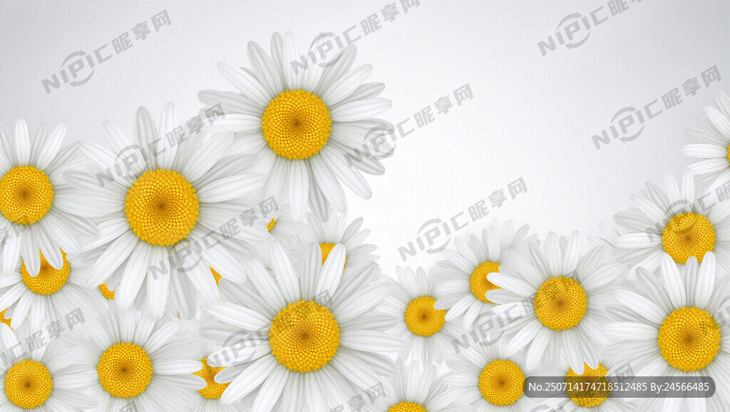 好多朵小雏菊 向量图 失量图