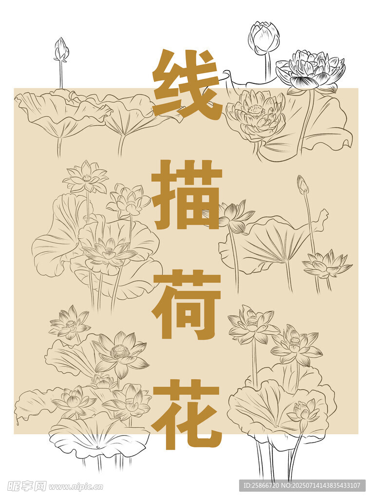 线描荷花图案设计素材