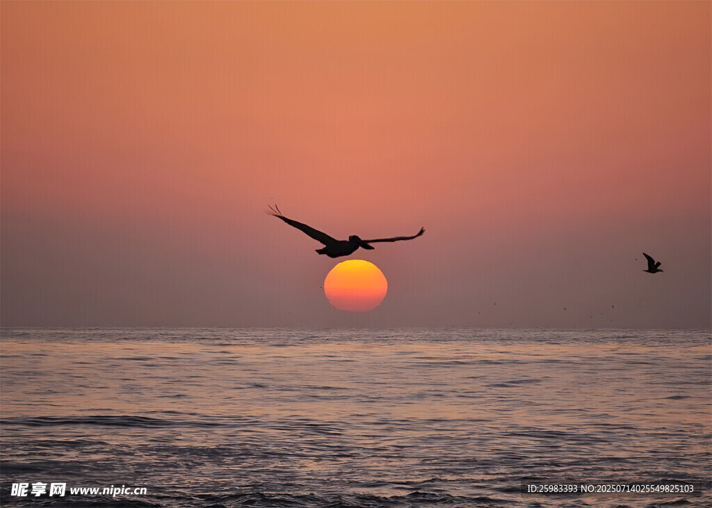 海上日落