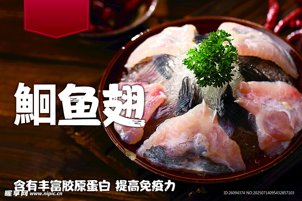 鮰鱼翅