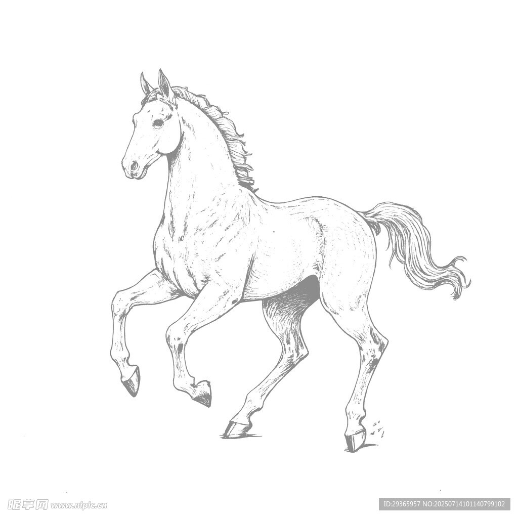 奔跑的白马素描图