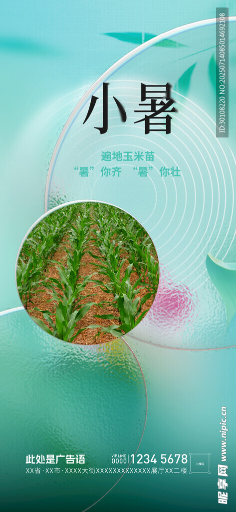 小暑