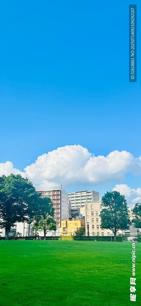 城市边的翠绿草坪与蓝天