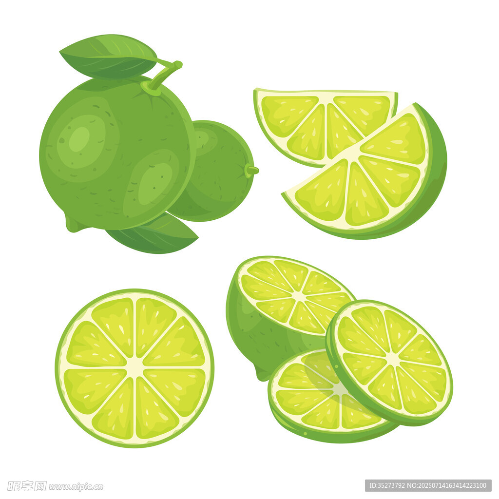 青柠插画
