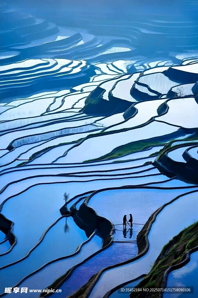 梯田