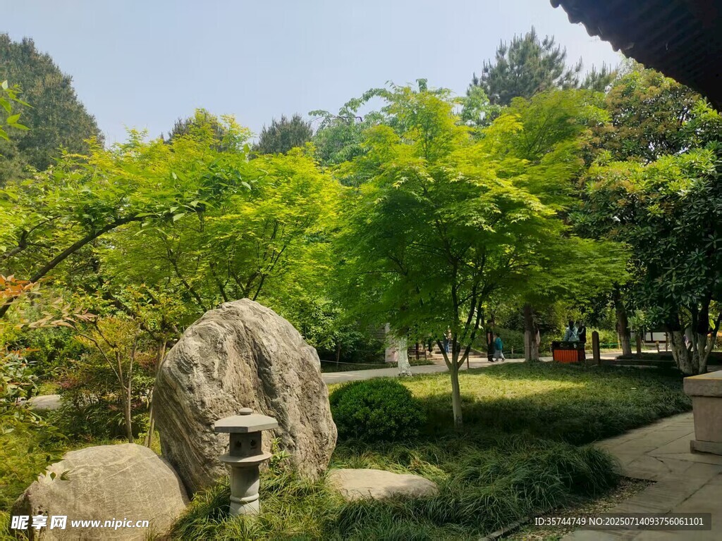 园林景致中的巨石与绿植