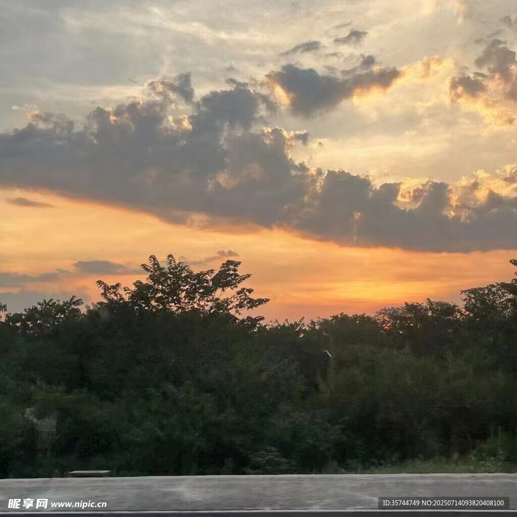黄昏时分的树林与天空