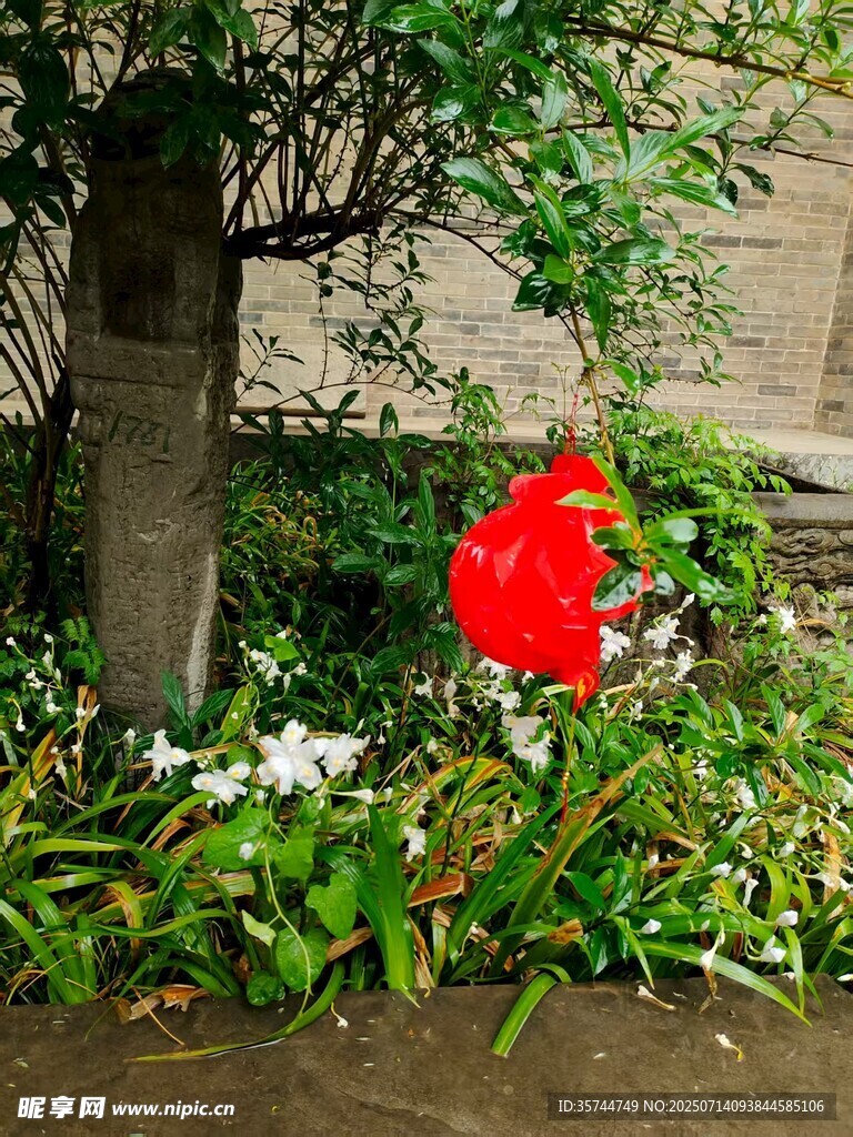 花丛中艳丽的灯笼
