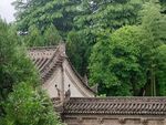 中式古建隐于葱郁林木间