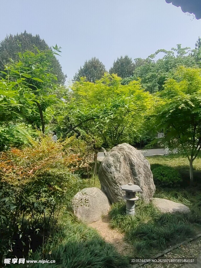 园林石景 绿意盎然景致