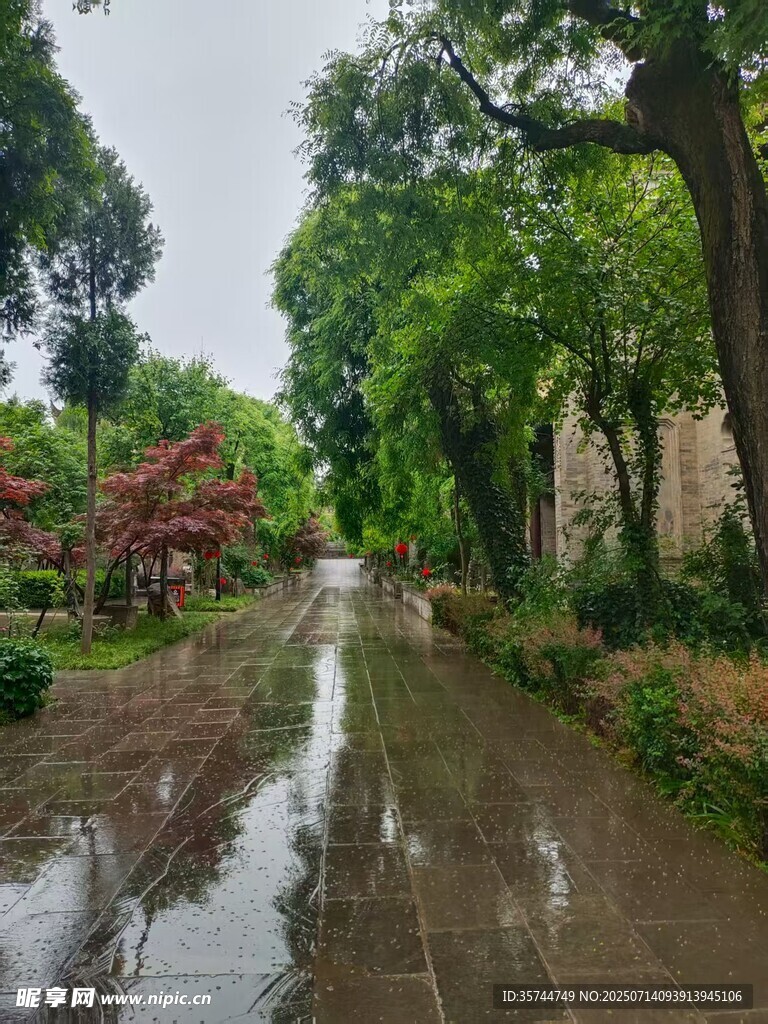 雨后园林小径 静谧清幽