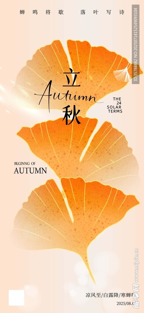 银杏叶上的诗意时光