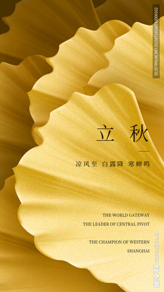 立秋时节金黄叶片美景