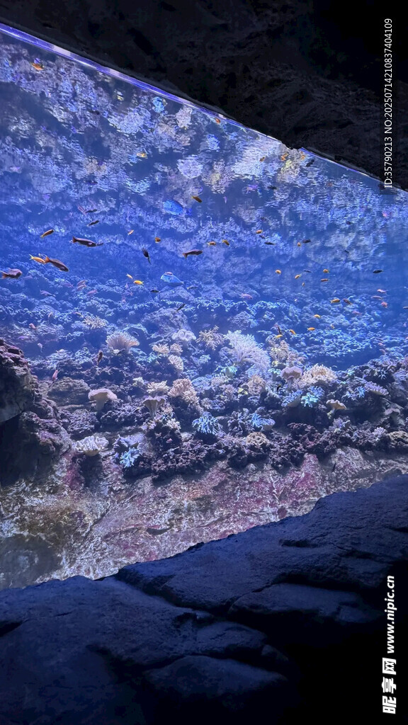 梦幻星空艺术装置