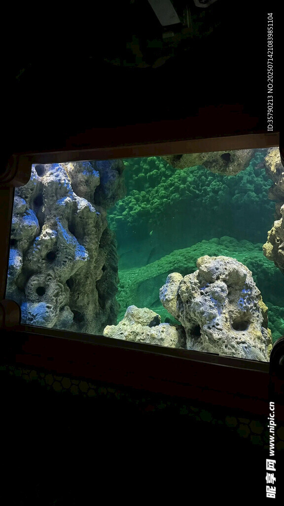 多彩海底景观水族箱画面