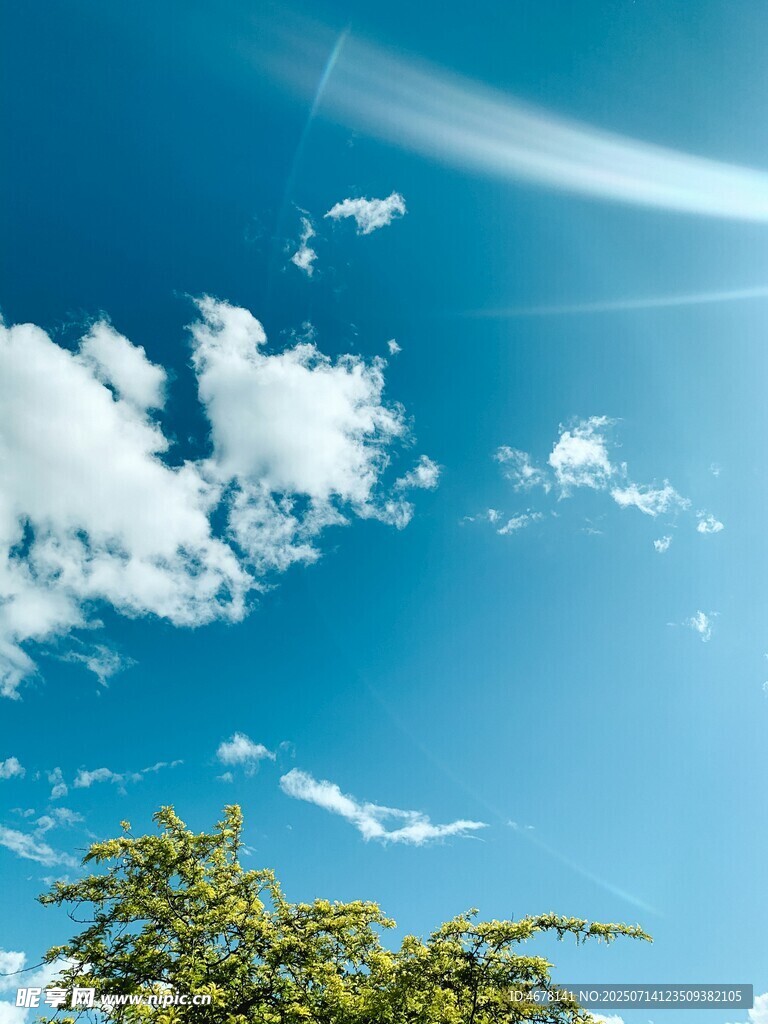 蓝天绿树间的白云美景