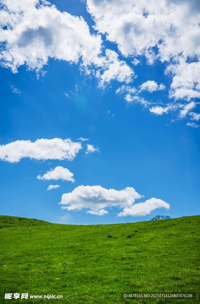 蓝天绿地清新自然美景