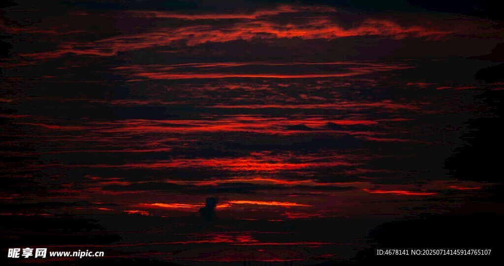 夕阳下飞鸟剪影美景