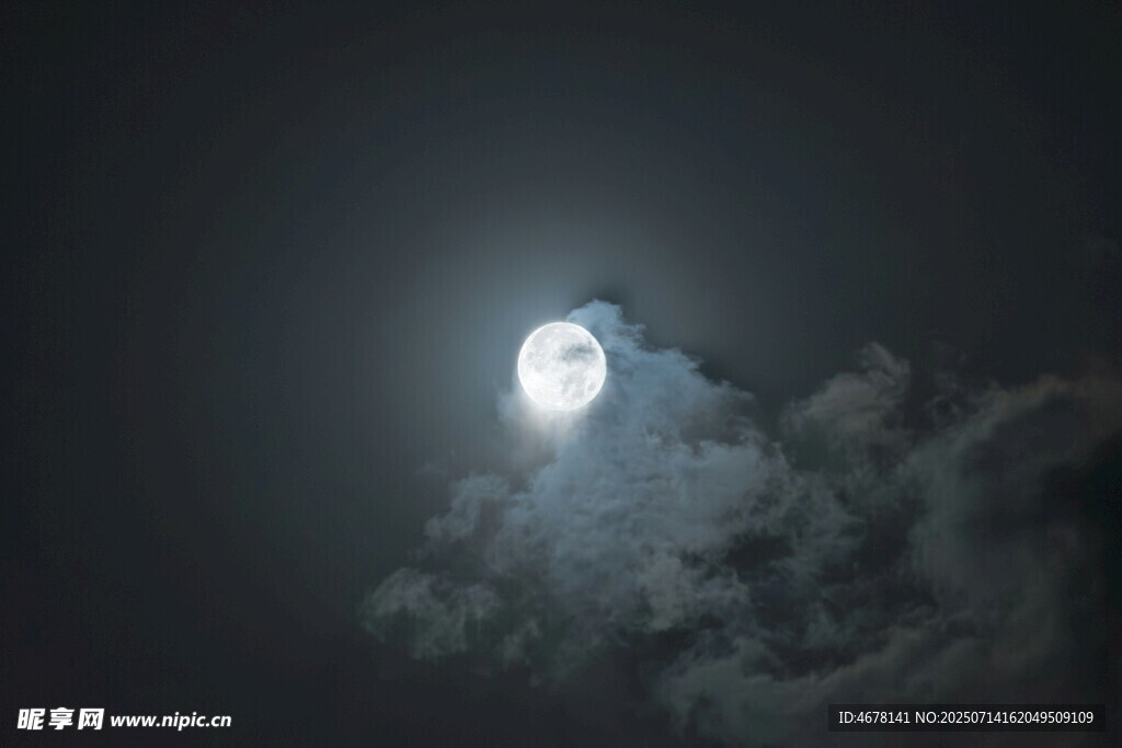 月夜树梢上的明亮圆月