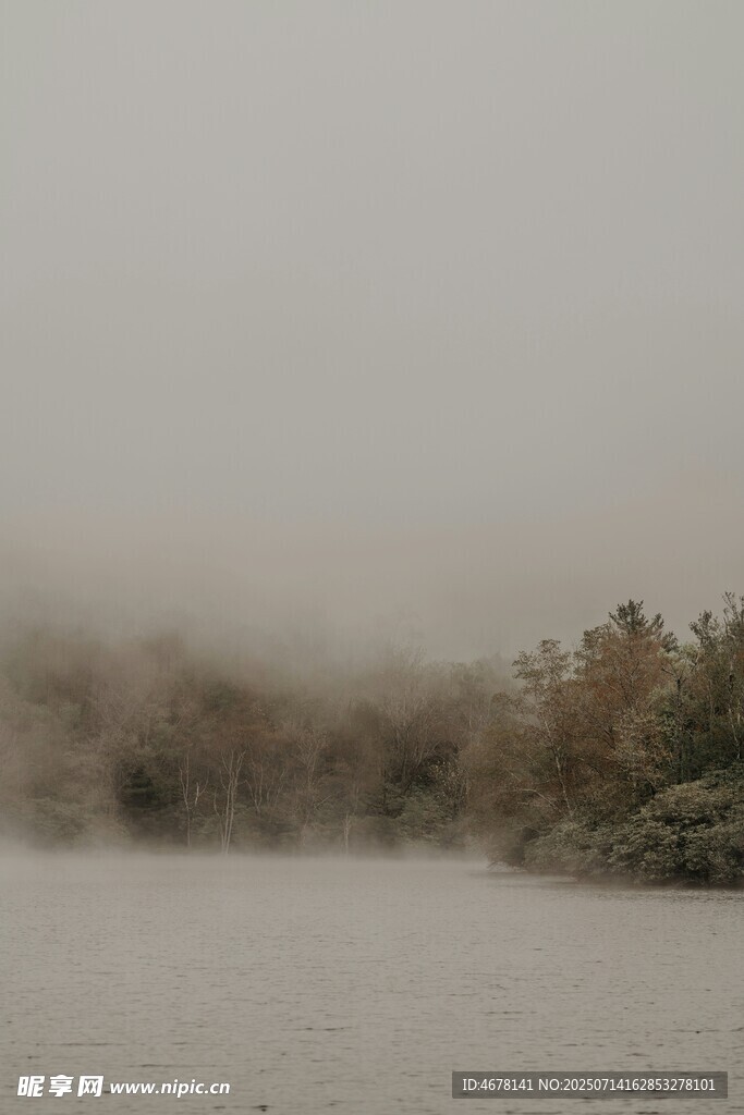 雾中河岸景色