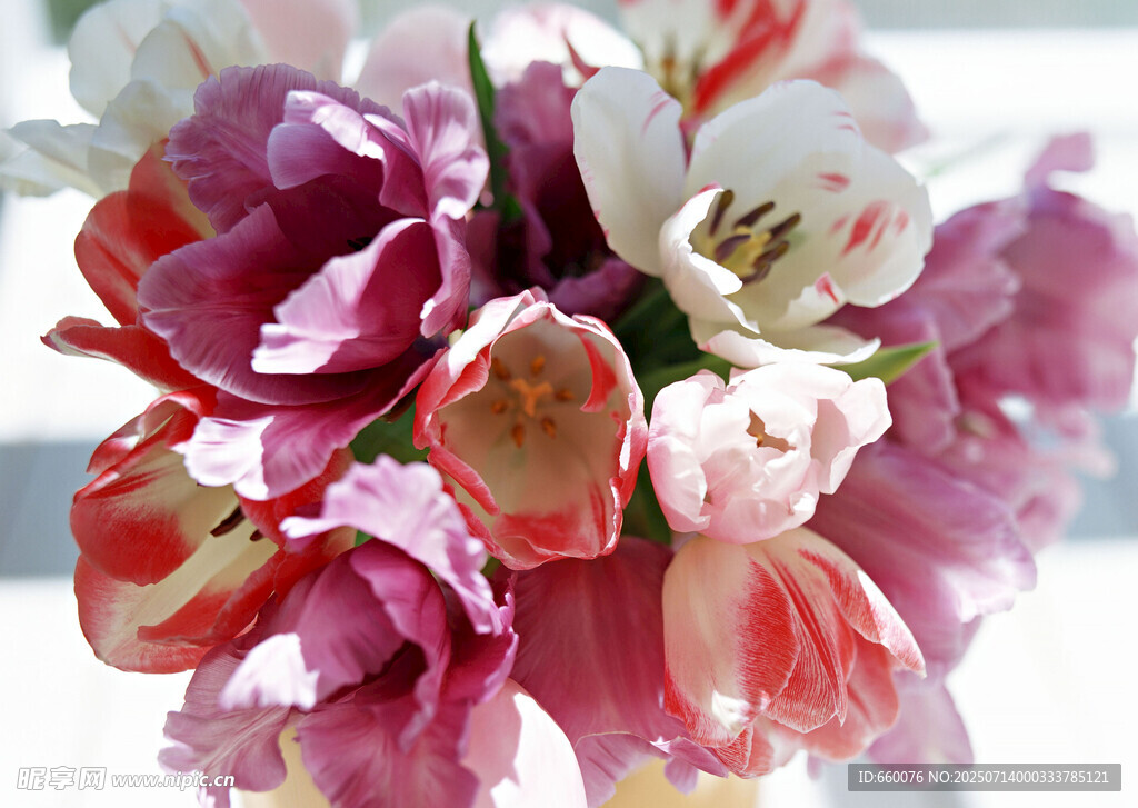 多彩郁金香花束特写