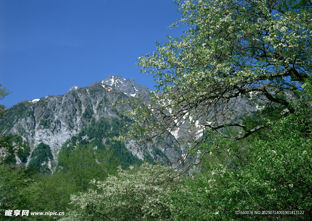 青山绿树间的巍峨山峰