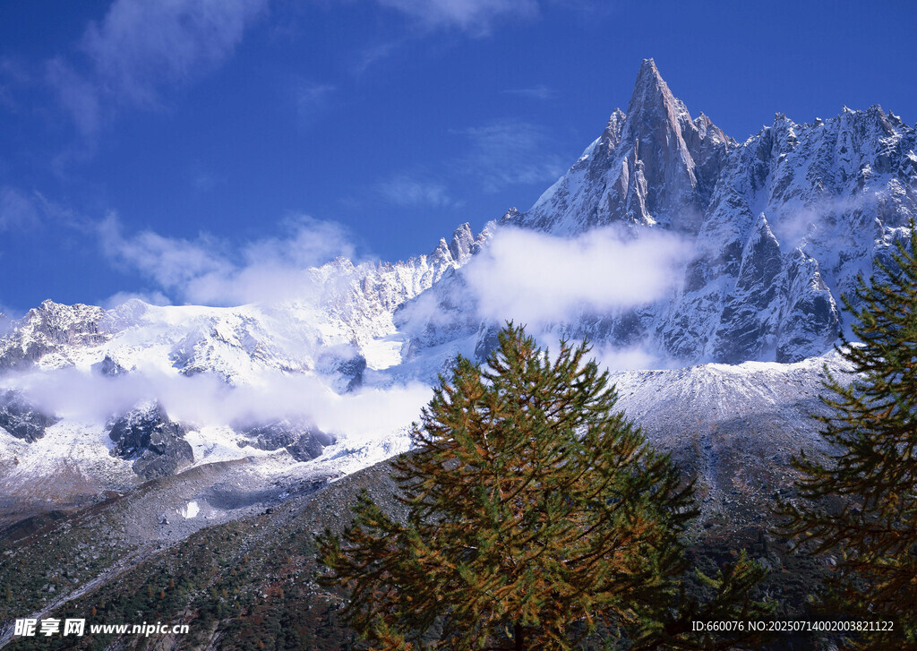 雪山美景 树木点缀