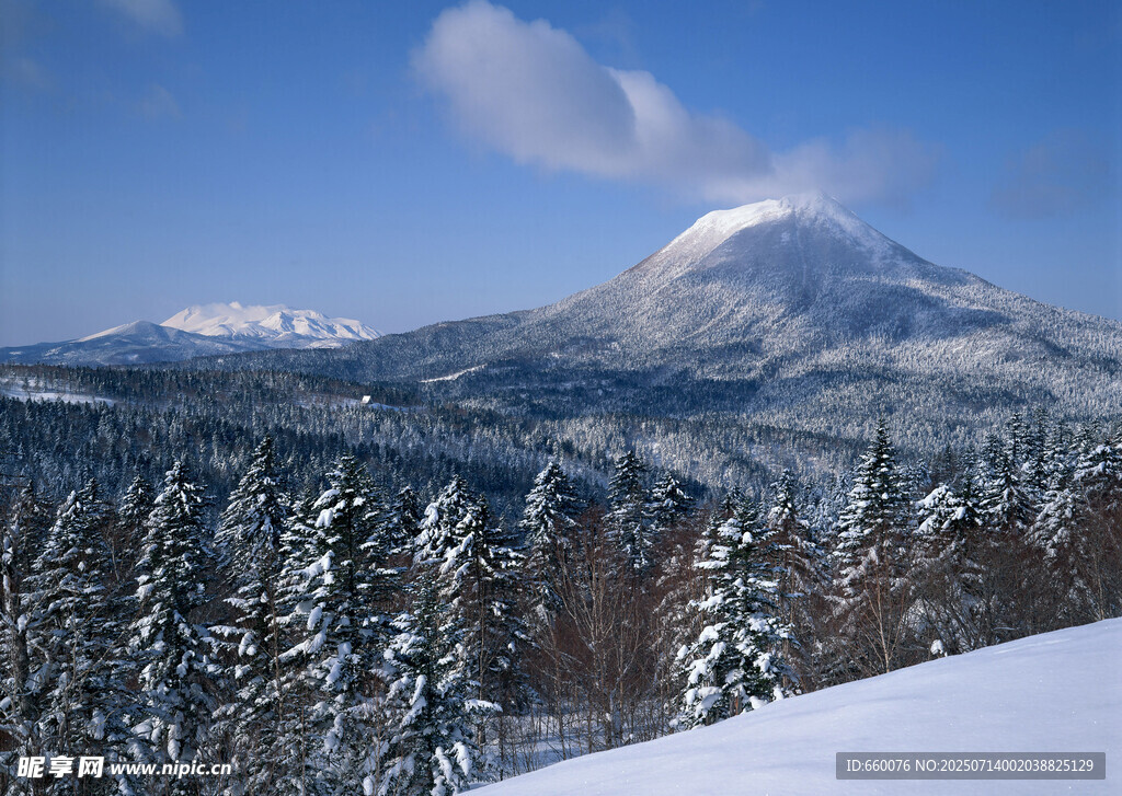 冬日雪山松林美景