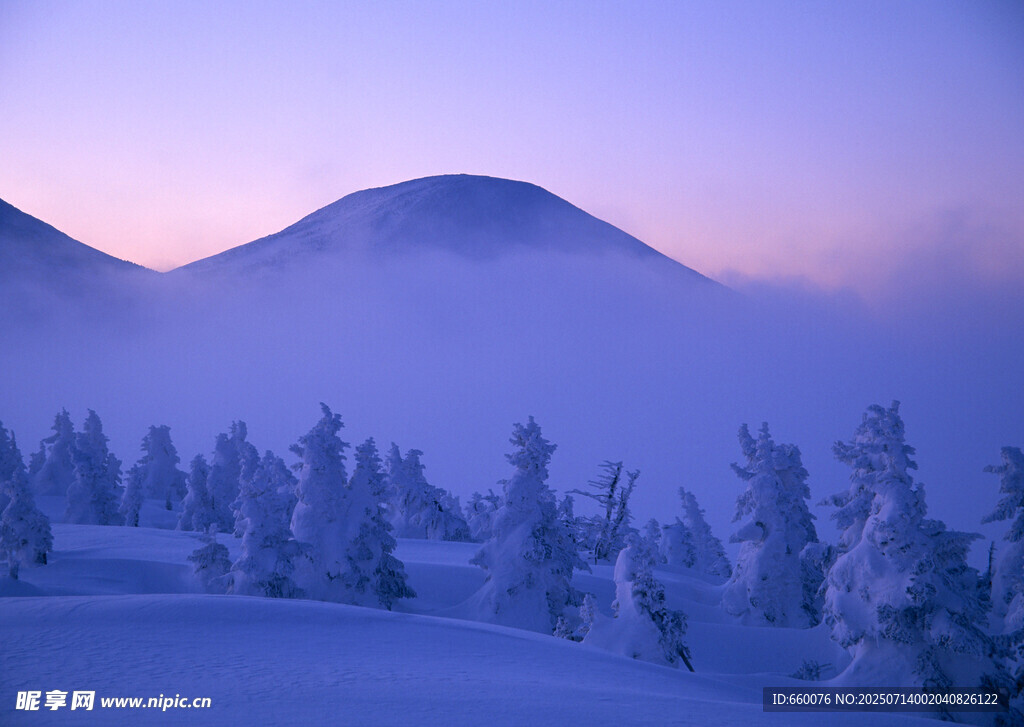 冬日雪林与远山的梦幻景致