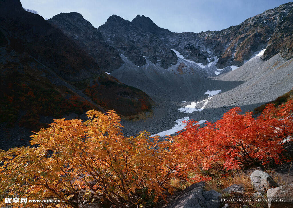 秋日山间绚烂彩林与雪峰