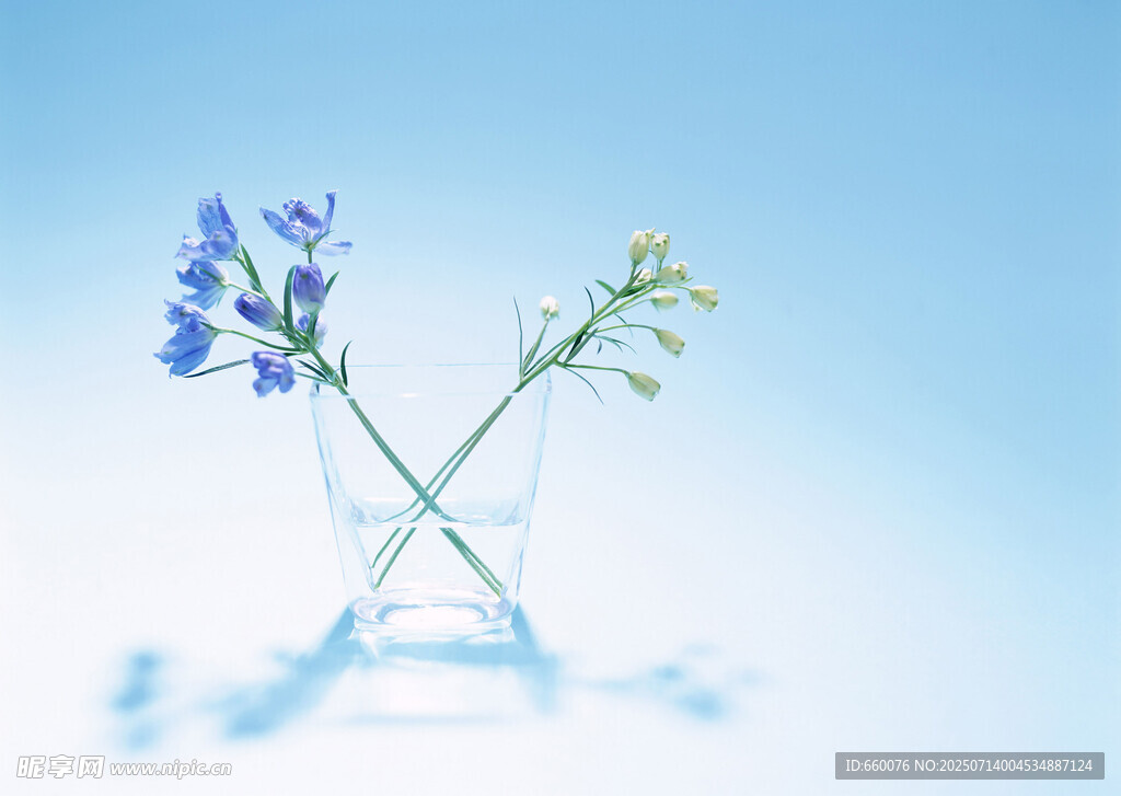 透明花瓶中的清新小花