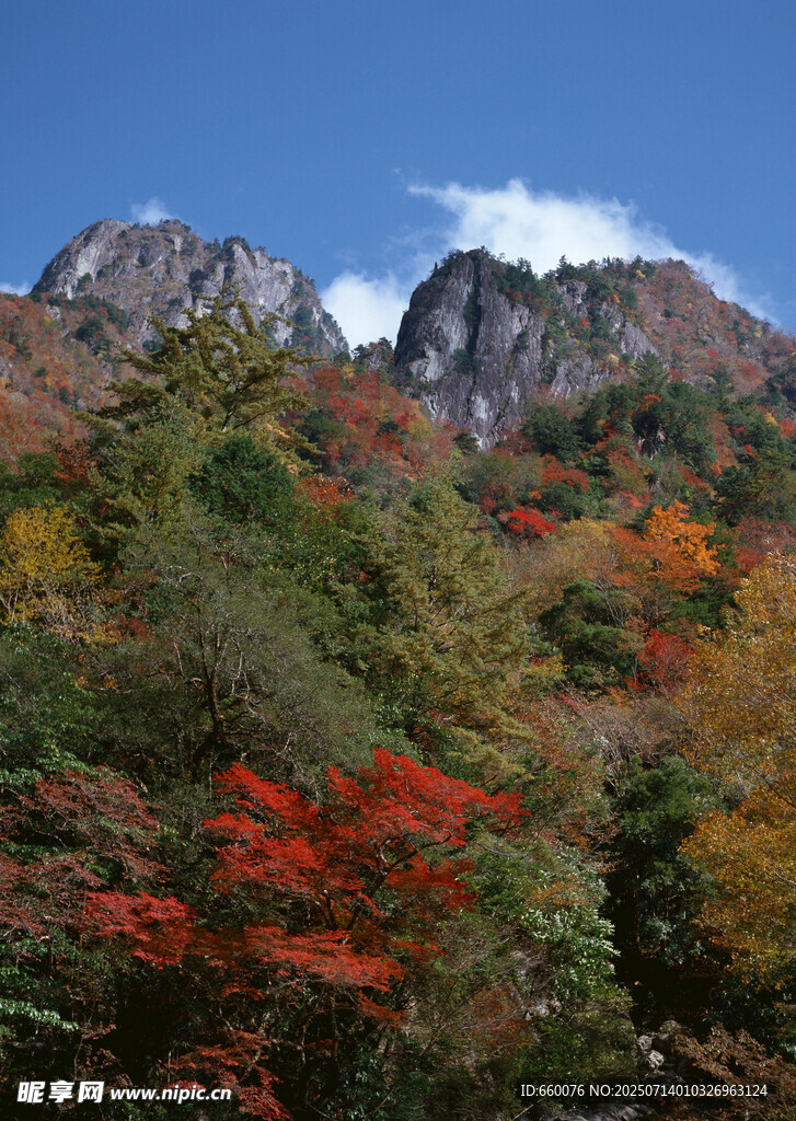 秋日山峦彩叶美景