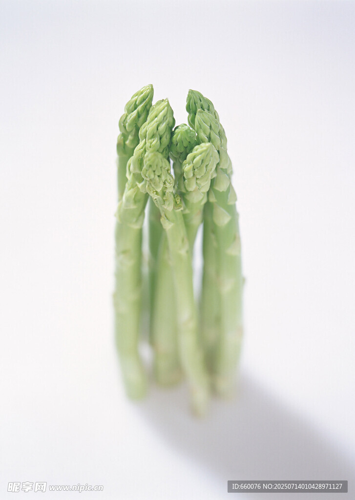鲜嫩芦笋特写