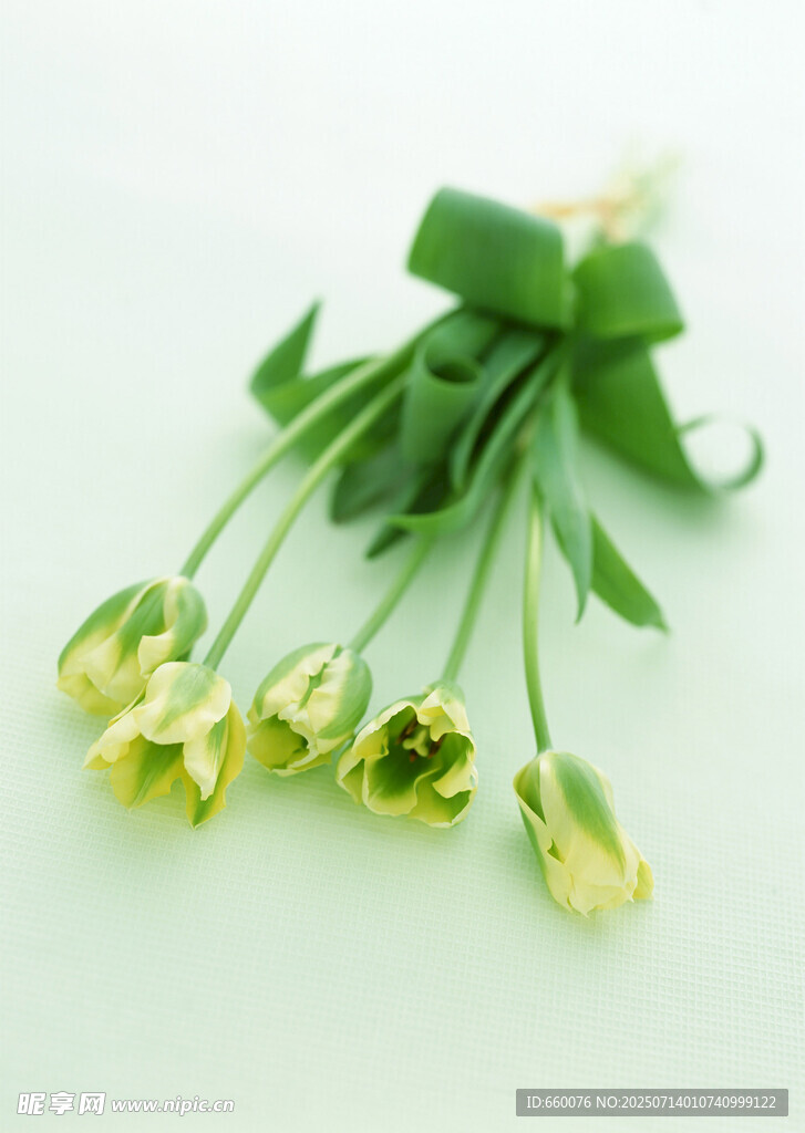 清新绿郁金香花束