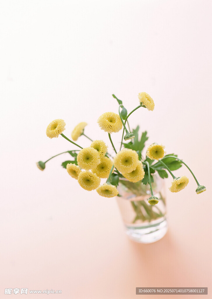 玻璃花瓶中的黄色小花