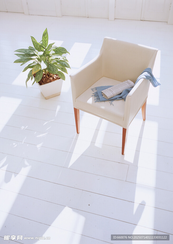 简约室内米色扶手椅与绿植